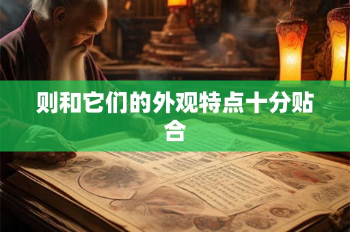 则和它们的外观特点十分贴合