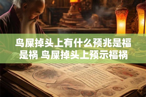 鸟屎掉头上有什么预兆是福是祸 鸟屎掉头上预示福祸