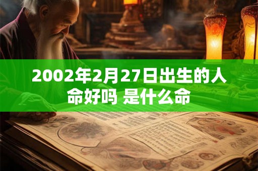 2002年2月27日出生的人命好吗 是什么命
