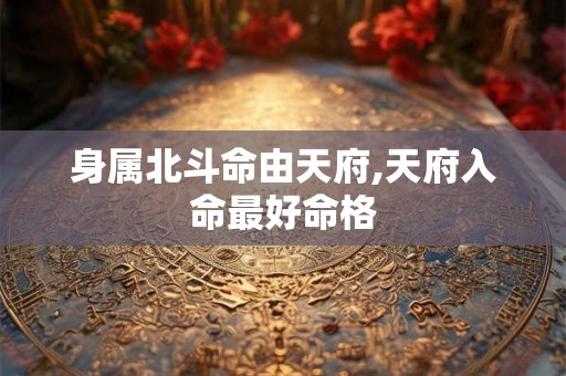 身属北斗命由天府,天府入命最好命格