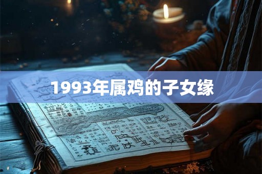 1993年属鸡的子女缘
