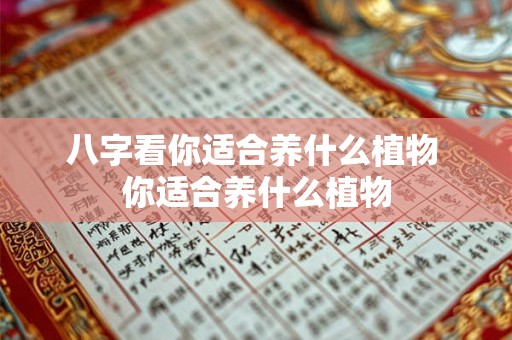 八字看你适合养什么植物 你适合养什么植物