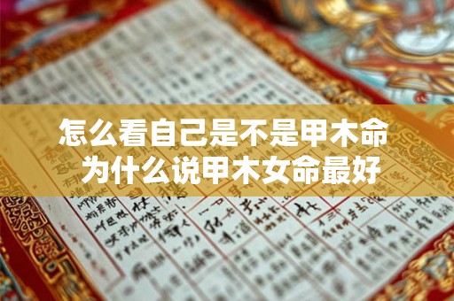 怎么看自己是不是甲木命  为什么说甲木女命最好