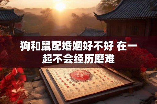 狗和鼠配婚姻好不好 在一起不会经历磨难 狗和鼠配婚姻好不好 在一起不会经历磨难