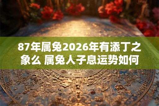 87年属兔2026年有添丁之象么 属兔人子息运势如何