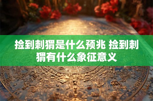 捡到刺猬是什么预兆 捡到刺猬有什么象征意义