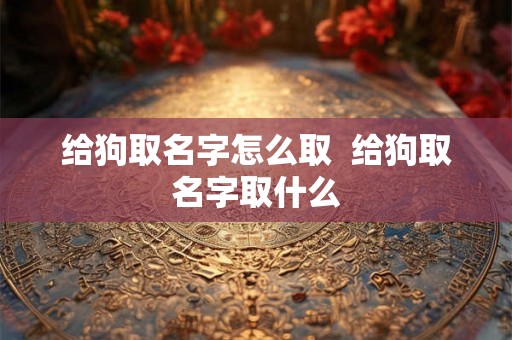 给狗取名字怎么取  给狗取名字取什么