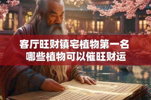 客厅旺财镇宅植物第一名 哪些植物可以催旺财运 客厅旺财镇宅植物第一名 哪些植物可以催旺财运