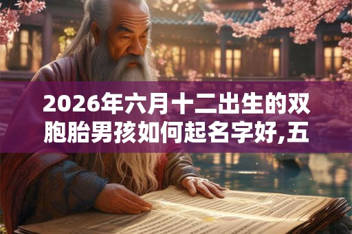 2026年六月十二出生的双胞胎男孩如何起名字好,五行属什么？