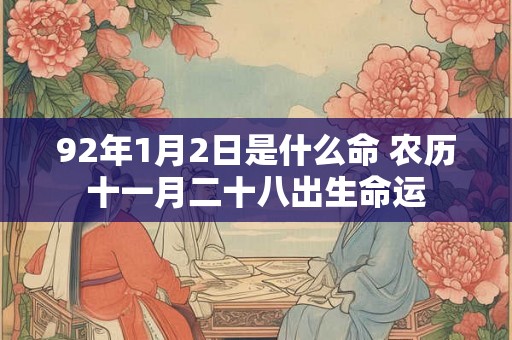92年1月2日是什么命 农历十一月二十八出生命运