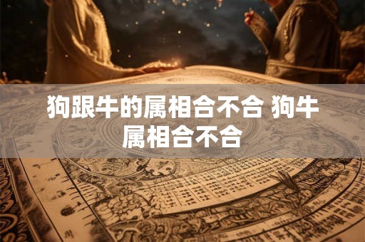 狗跟牛的属相合不合 狗牛属相合不合