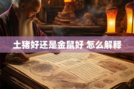 土猪好还是金鼠好 怎么解释 土猪好还是金鼠好 怎么解释