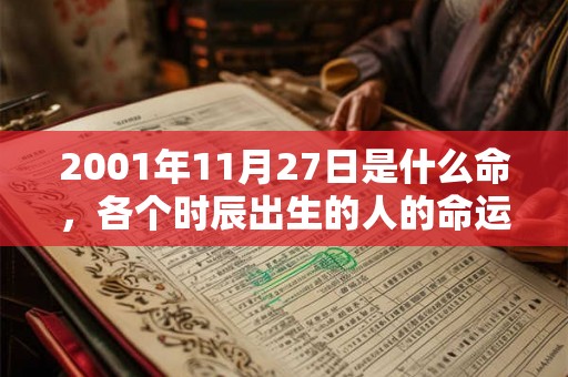 2001年11月27日是什么命，各个时辰出生的人的命运