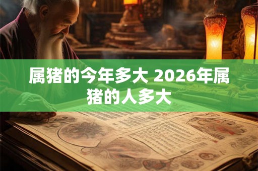 属猪的今年多大 2026年属猪的人多大 属猪的今年多大 2026年属猪的人多大