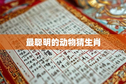 最聪明的动物猜生肖