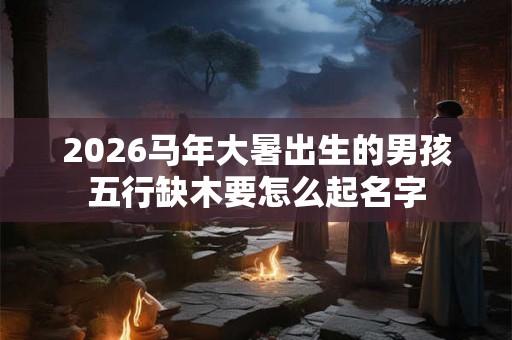 2026马年大暑出生的男孩五行缺木要怎么起名字