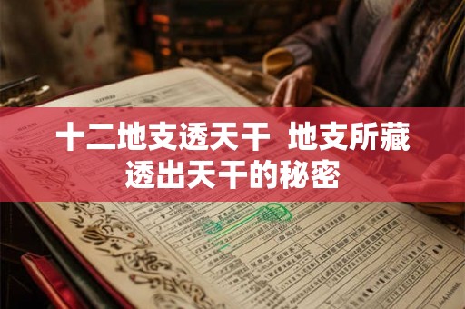 十二地支透天干  地支所藏透出天干的秘密