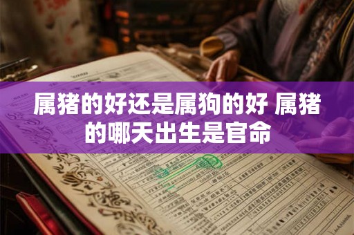 属猪的好还是属狗的好 属猪的哪天出生是官命
