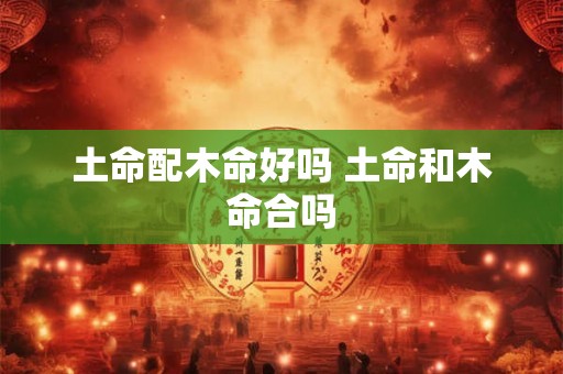 土命配木命好吗 土命和木命合吗