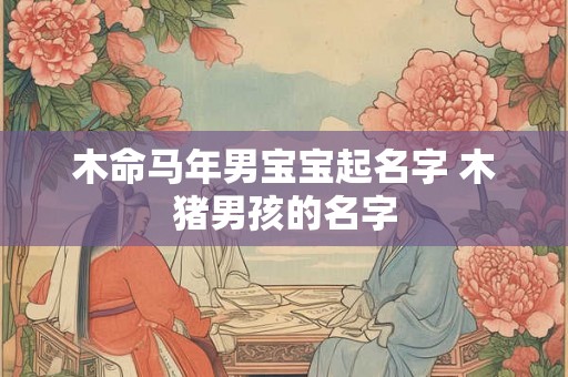 木命马年男宝宝起名字 木猪男孩的名字