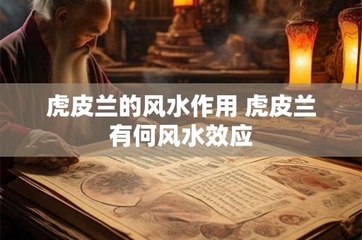 虎皮兰的风水作用 虎皮兰有何风水效应