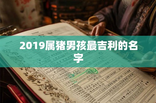 2019属猪男孩最吉利的名字