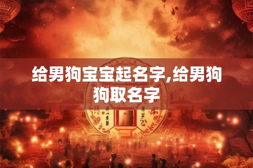 给男狗宝宝起名字,给男狗狗取名字