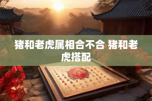 猪和老虎属相合不合 猪和老虎搭配 猪和老虎属相合不合 猪和老虎搭配