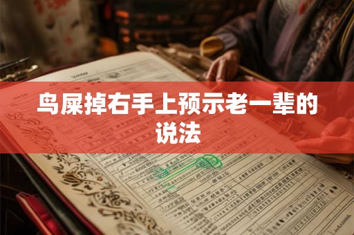 鸟屎掉右手上预示老一辈的说法