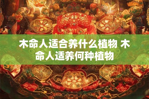 木命人适合养什么植物 木命人适养何种植物