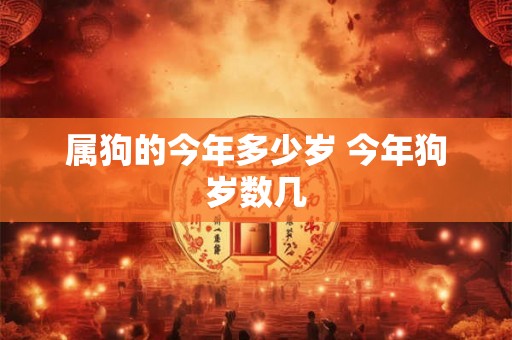 属狗的今年多少岁 今年狗岁数几