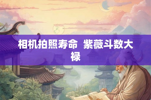 相机拍照寿命  紫薇斗数大禄