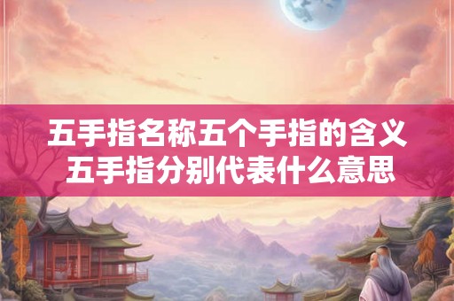 五手指名称五个手指的含义 五手指分别代表什么意思