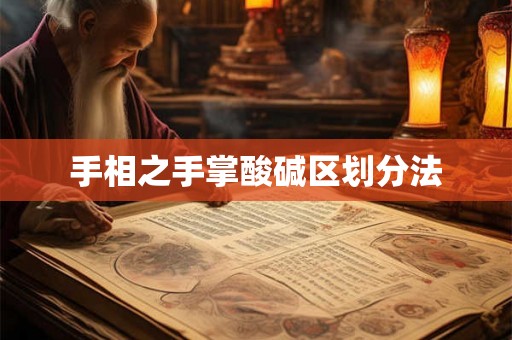 手相之手掌酸碱区划分法