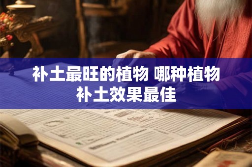 补土最旺的植物 哪种植物补土效果最佳