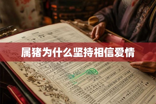属猪为什么坚持相信爱情