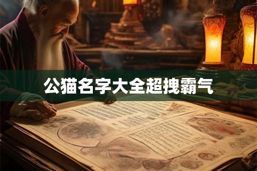 公猫名字大全超拽霸气 公猫名字大全超拽霸气