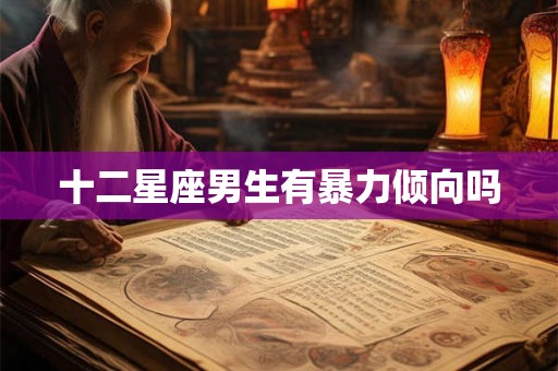 十二星座男生有暴力倾向吗