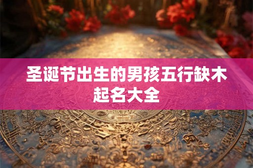 圣诞节出生的男孩五行缺木起名大全