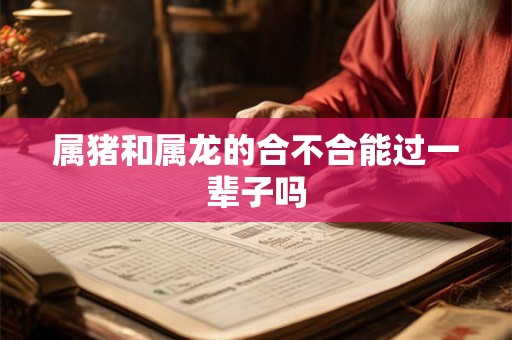属猪和属龙的合不合能过一辈子吗 属猪和属龙的合不合能过一辈子吗