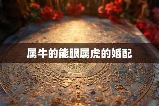 属牛的能跟属虎的婚配