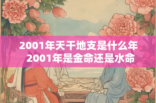 2001年天干地支是什么年  2001年是金命还是水命