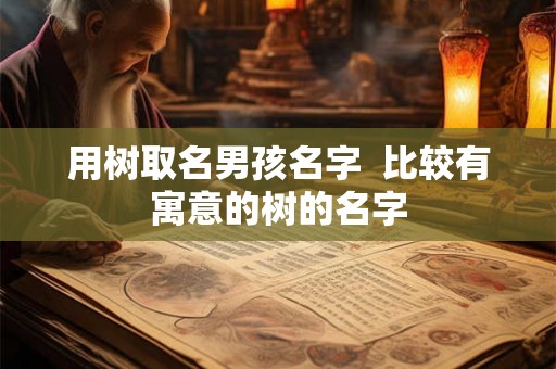 用树取名男孩名字  比较有寓意的树的名字