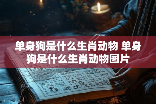 单身狗是什么生肖动物 单身狗是什么生肖动物图片