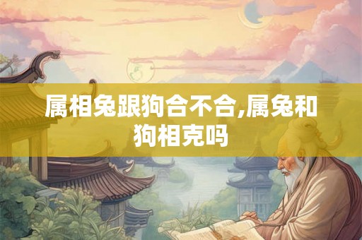 属相兔跟狗合不合,属兔和狗相克吗