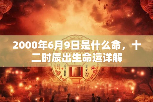 2000年6月9日是什么命，十二时辰出生命运详解