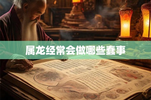 属龙经常会做哪些蠢事