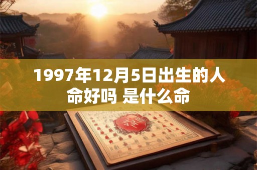 1997年12月5日出生的人命好吗 是什么命