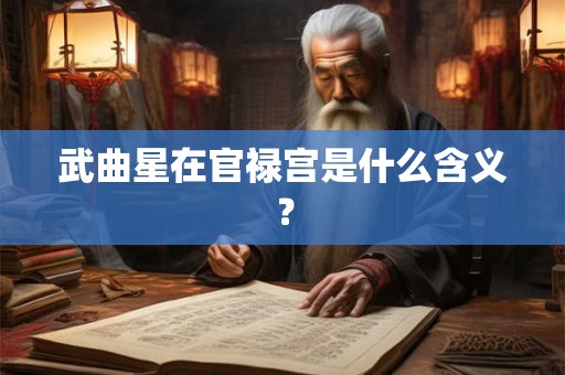 武曲星在官禄宫是什么含义? 武曲星在官禄宫是什么含义?