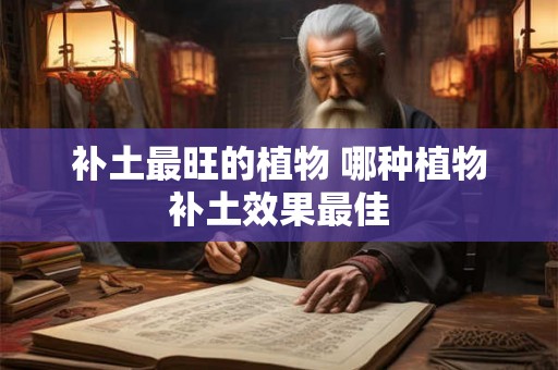 补土最旺的植物 哪种植物补土效果最佳